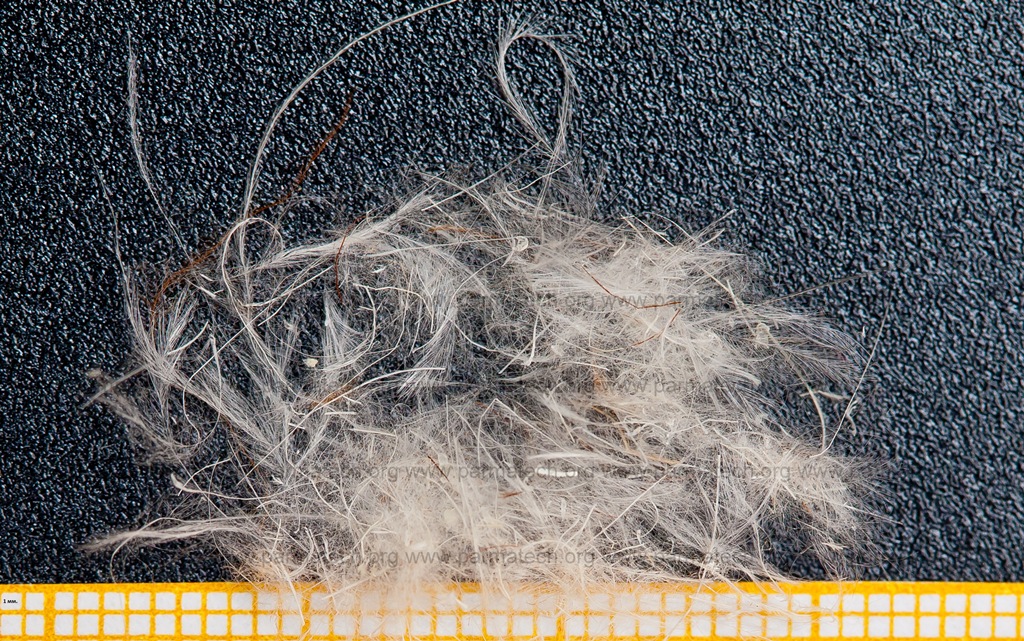 Переработанное перо